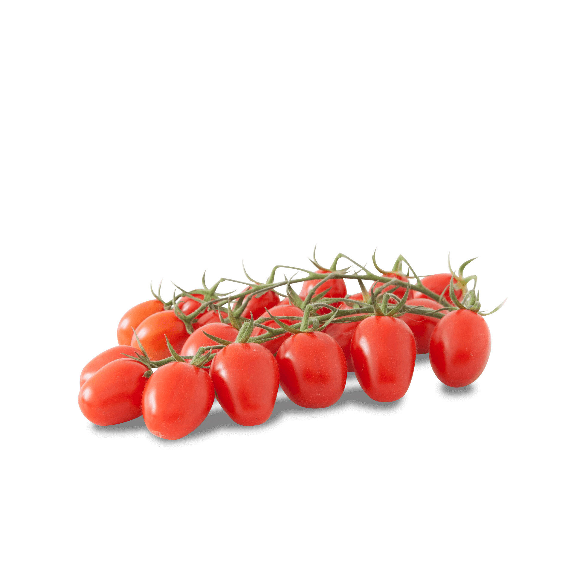 Tomate Cherry vrac ES 3KG BIO